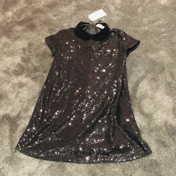Zara Other - Zara NWT sequin Dress-Top